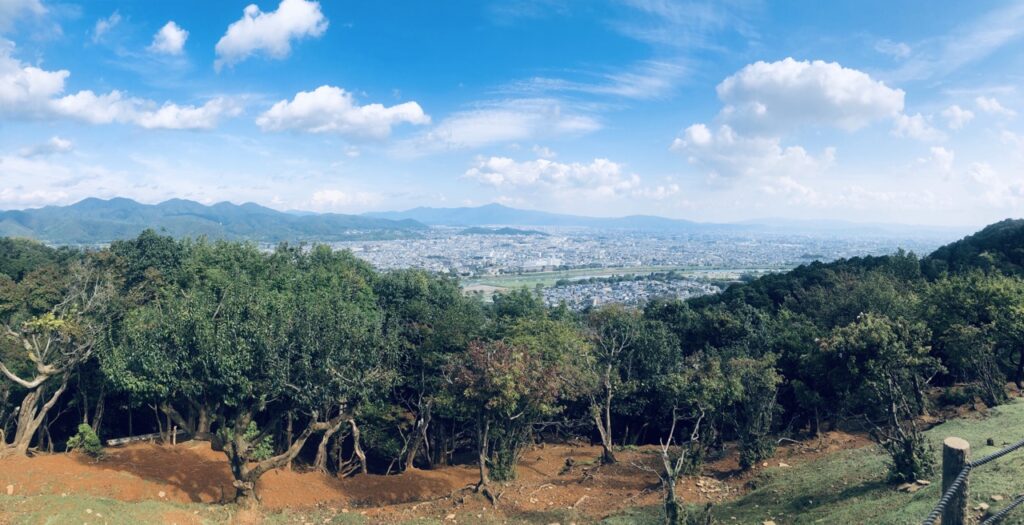 Monkey Park kyoto