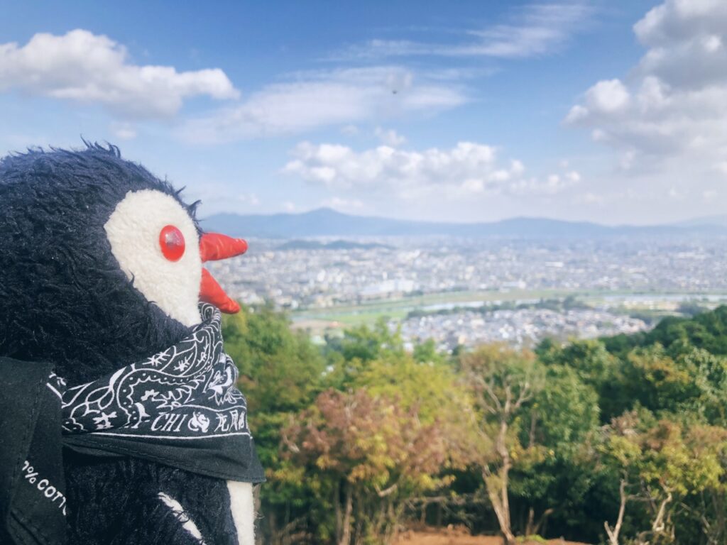 Monkey Park kyoto