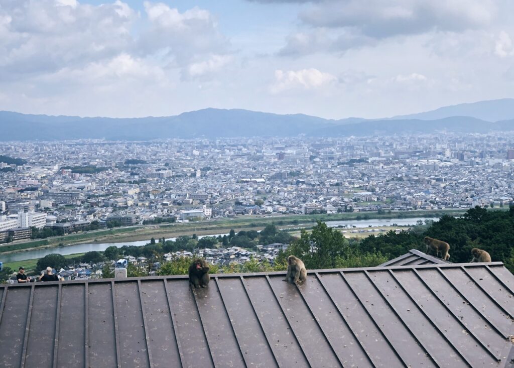 Monkey Park kyoto