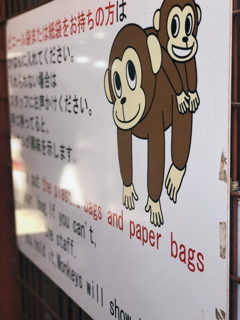 Monkey Park kyoto