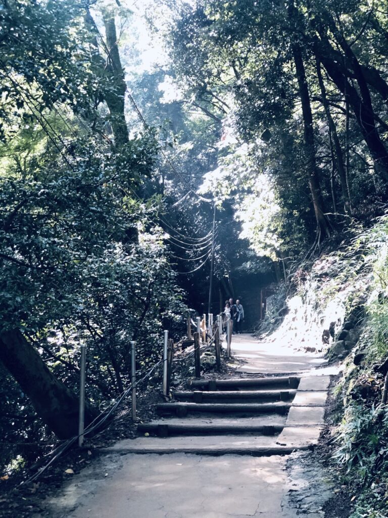 Monkey Park kyoto