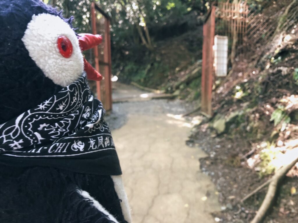 Monkey Park kyoto