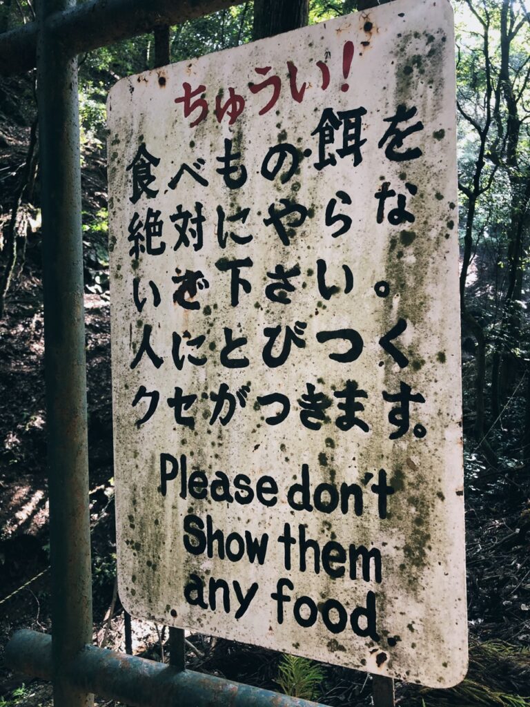 Monkey Park kyoto