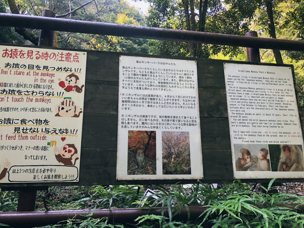 Monkey Park kyoto