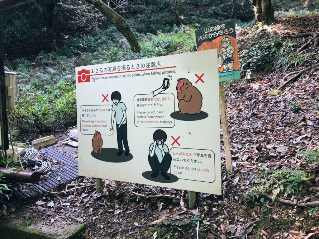 Monkey Park kyoto