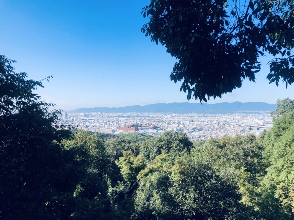 View from mount Inari