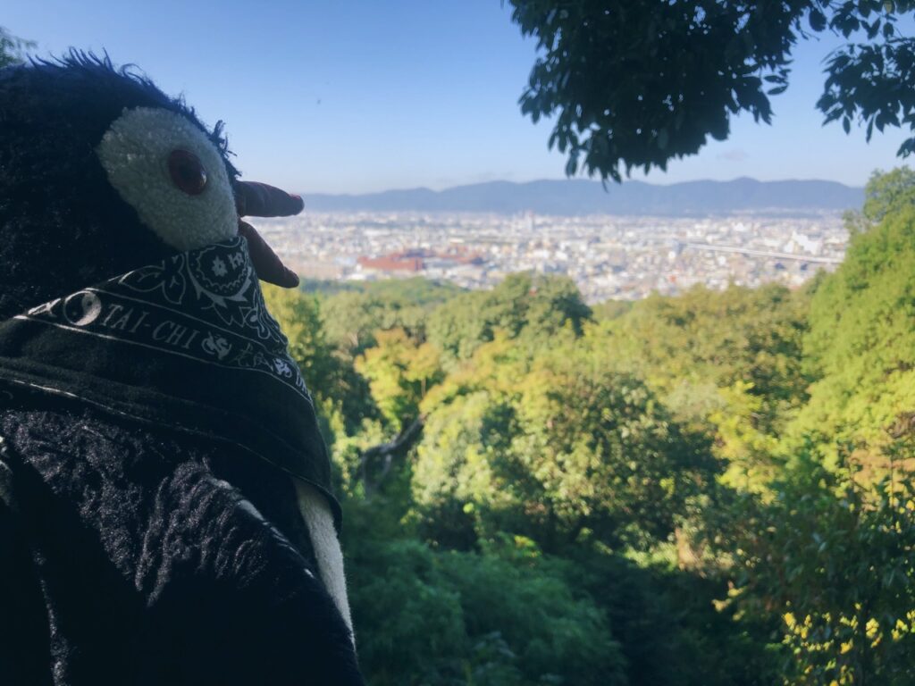 View from mount Inari