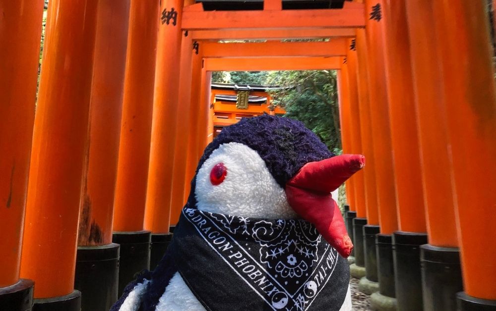 Waddling mount Inari kyoto Torii Gates featured