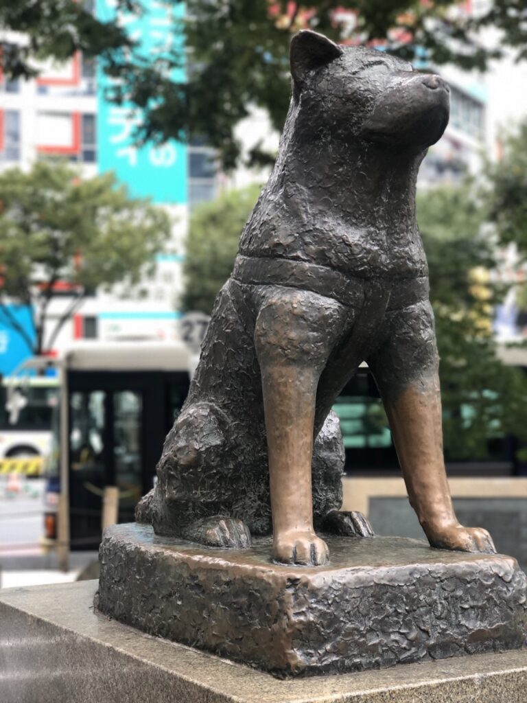 Hachiko statue Tokyo japan