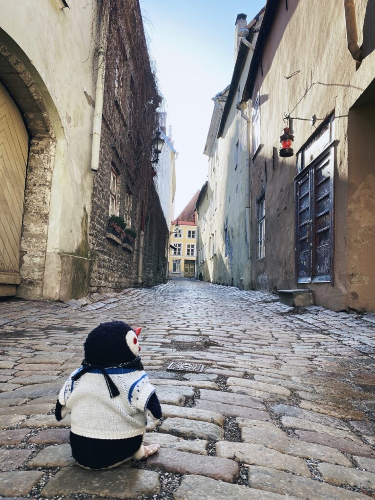 Alleys of Tallinn
