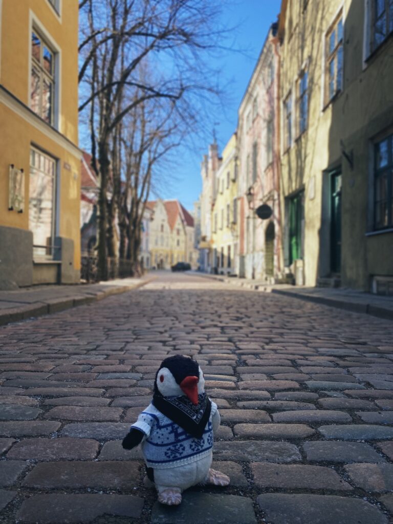 Alleys of Tallinn