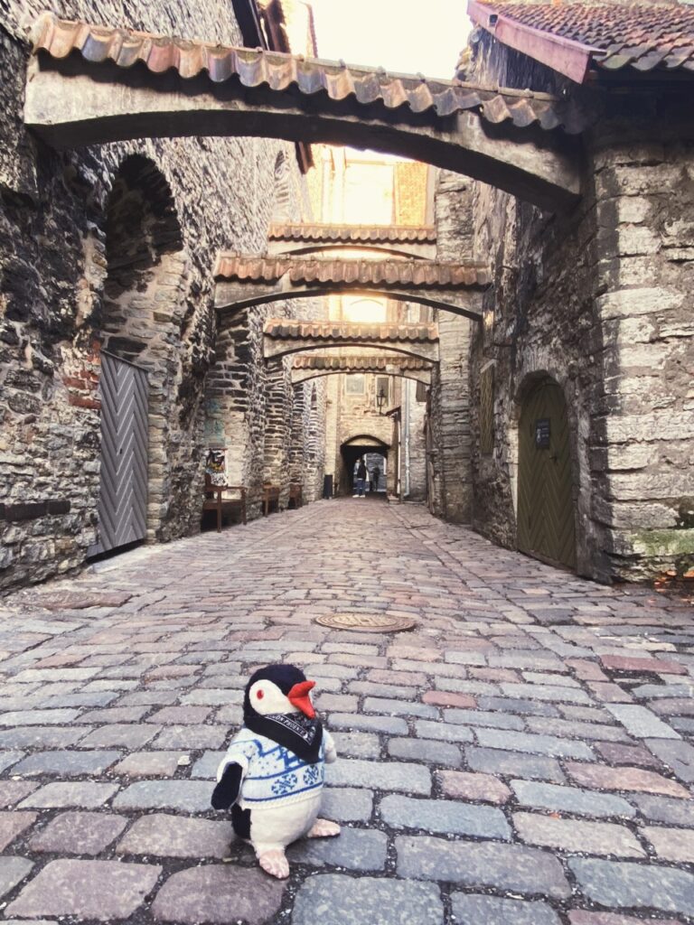 Catherines alley Tallinn