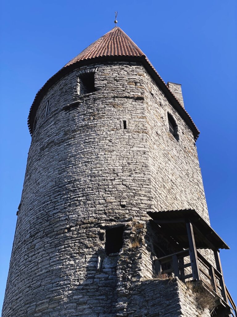 Koismae reperbahn tower