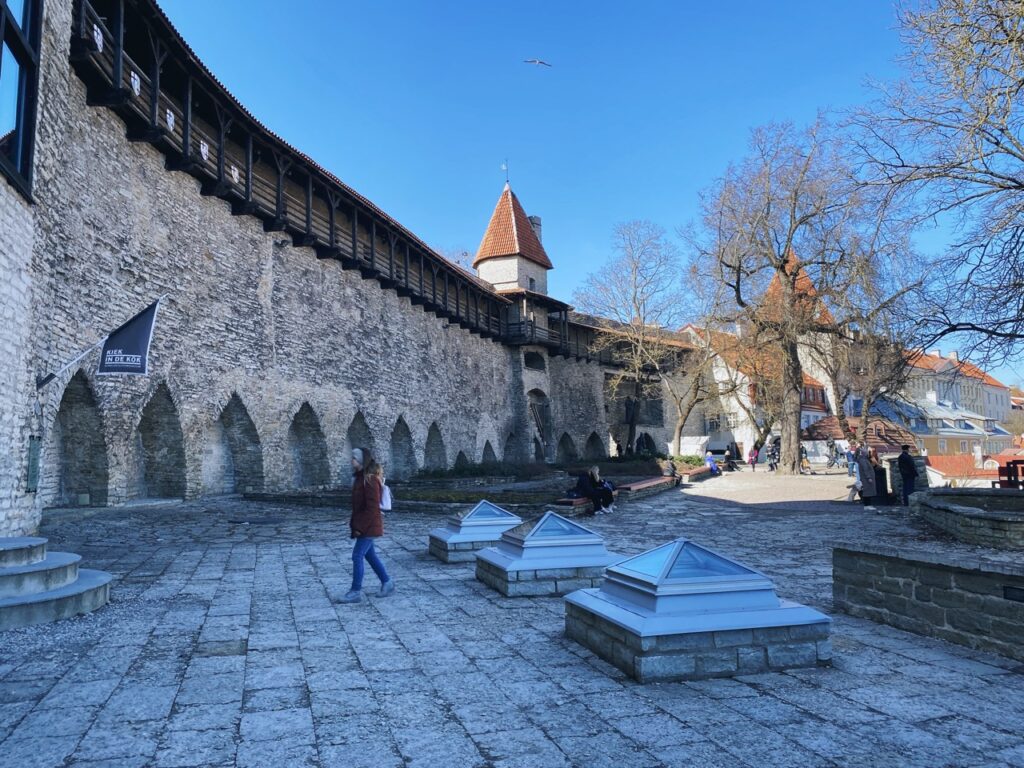 Maiden tower Tallinn