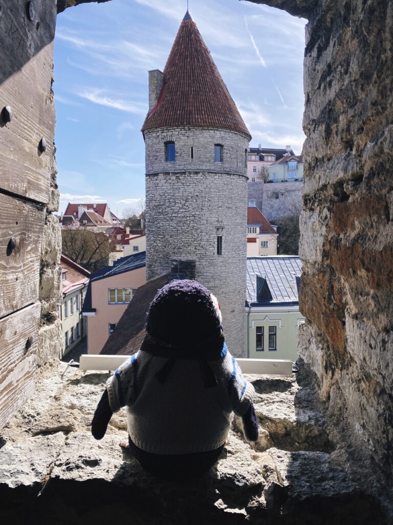 Nunna sauna kuldjala Towers Tallinn