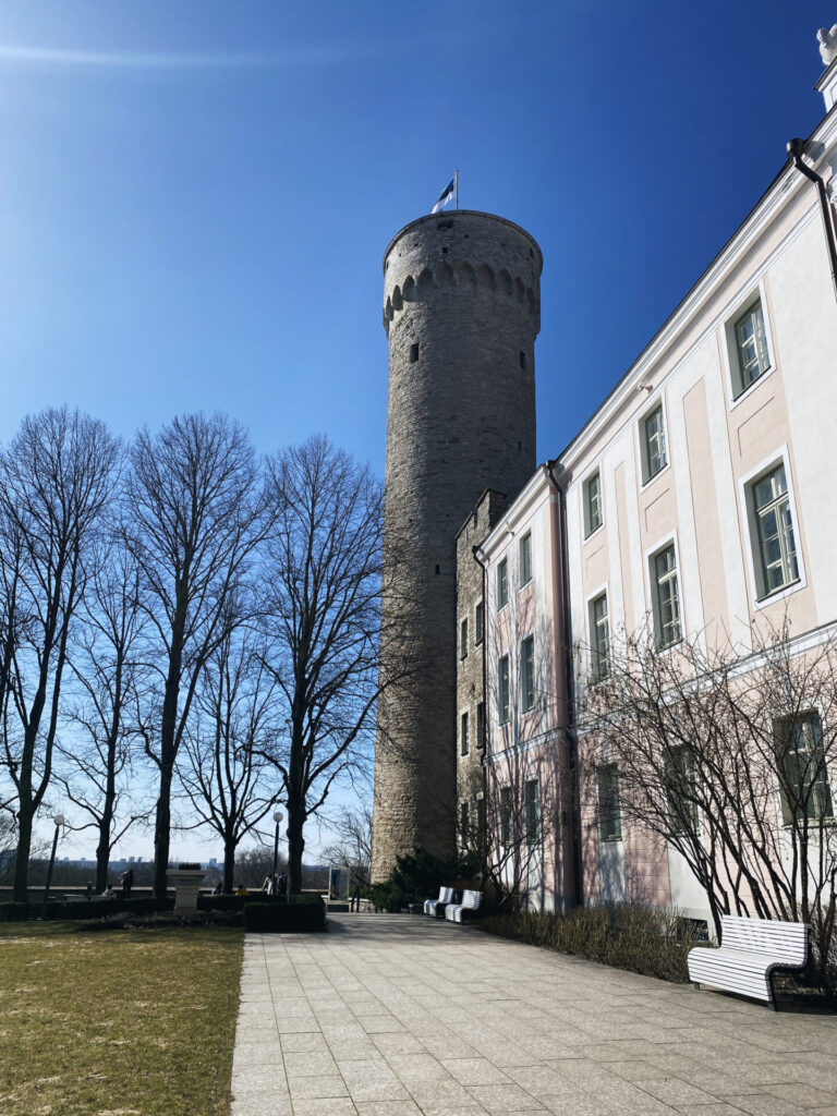 Tall hermann Tallinn