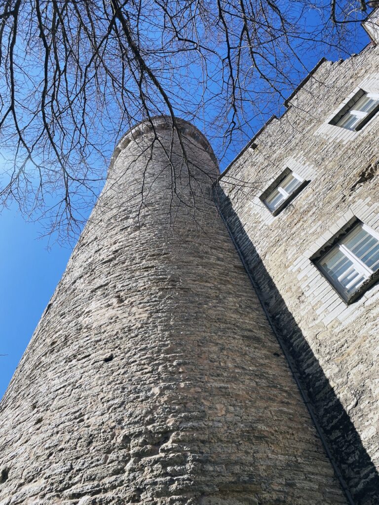 Tall hermann Tallinn