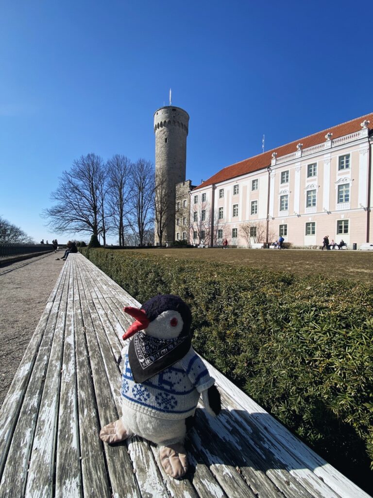 Tall hermann Tallinn