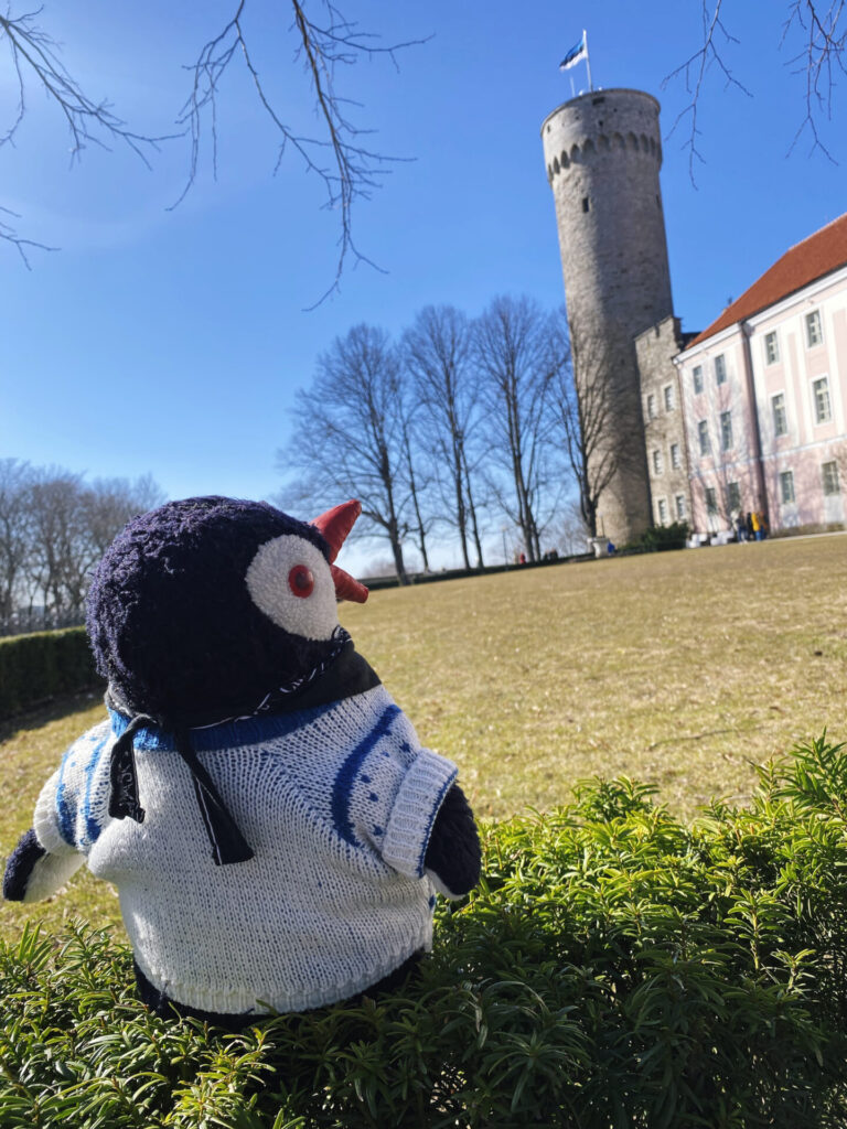 Tall hermann Tallinn