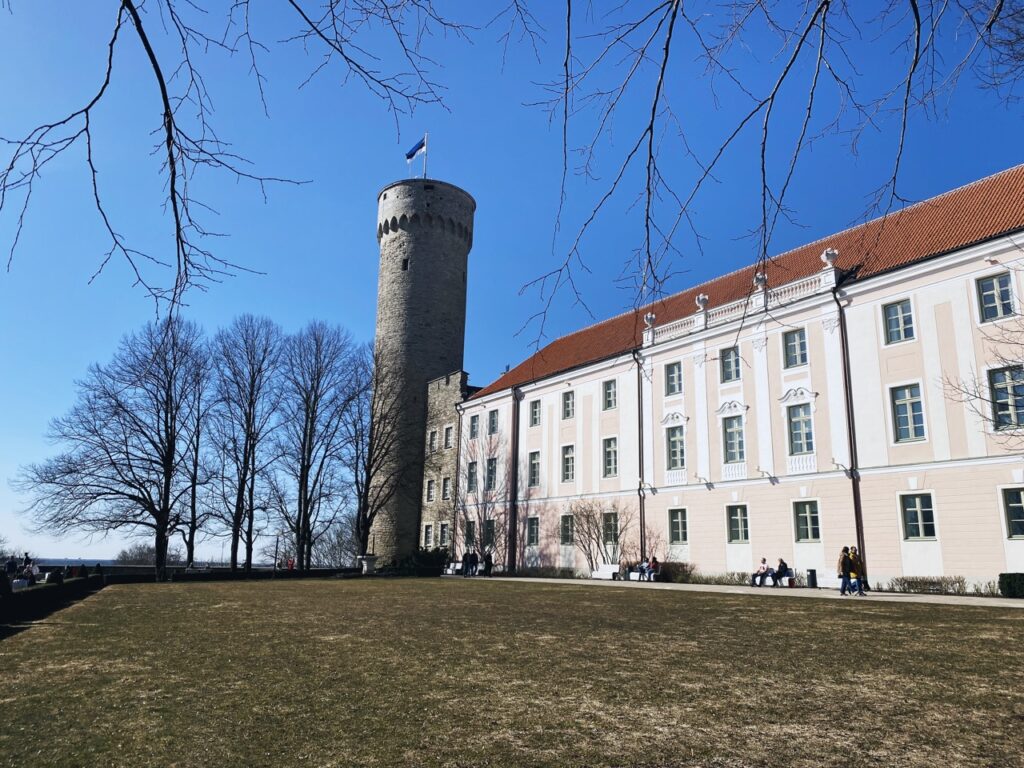 Tall hermann Tallinn