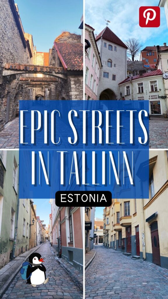 Tallinn alleys doors
