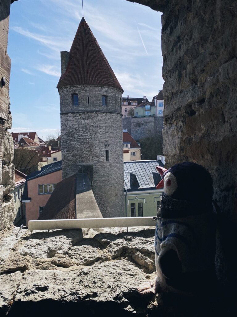 Tallinn city walls