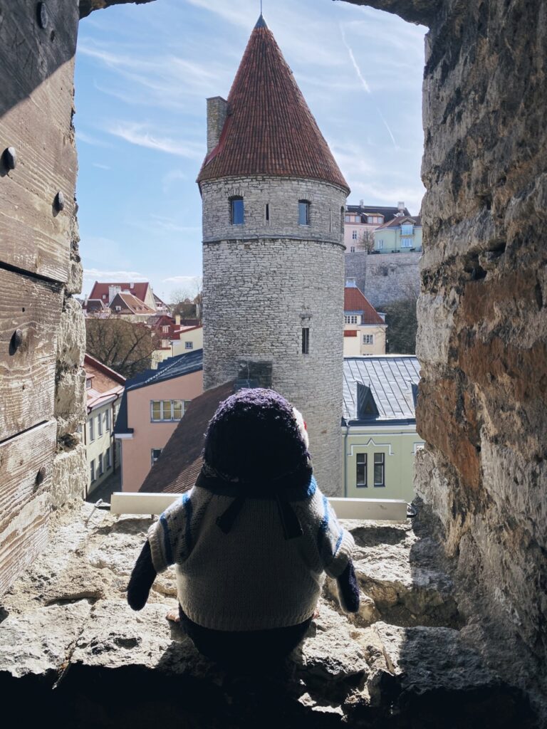 Tallinn city walls
