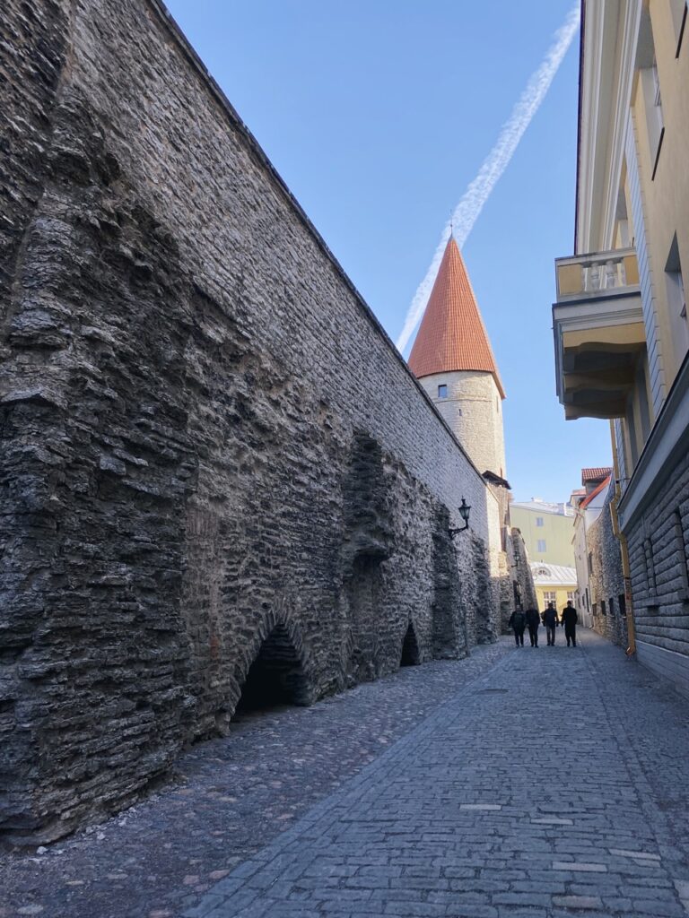The tower behind grusbeke Tallinn
