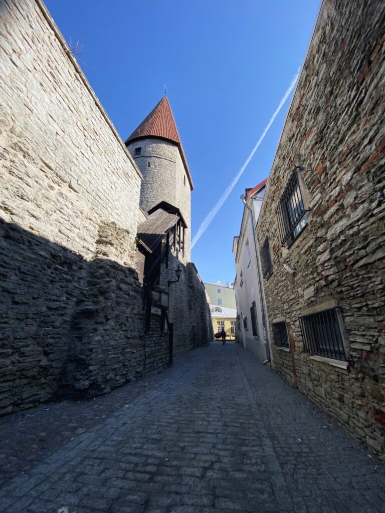 The tower behind grusbeke Tallinn