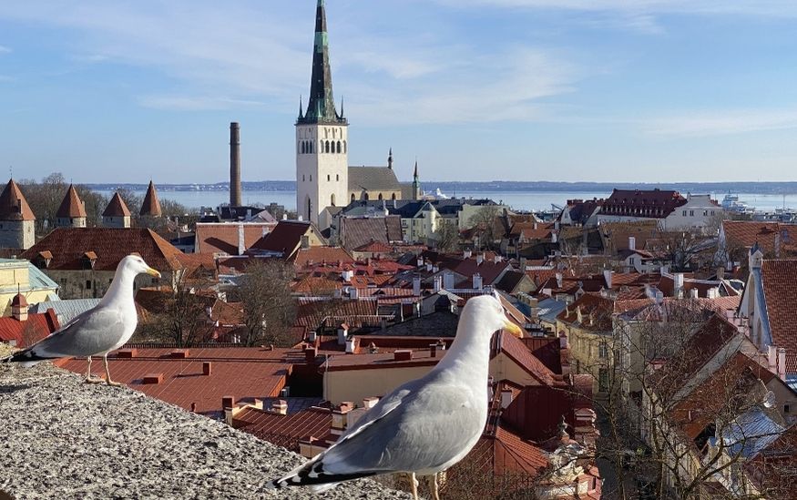 Top things to See in tallin featured