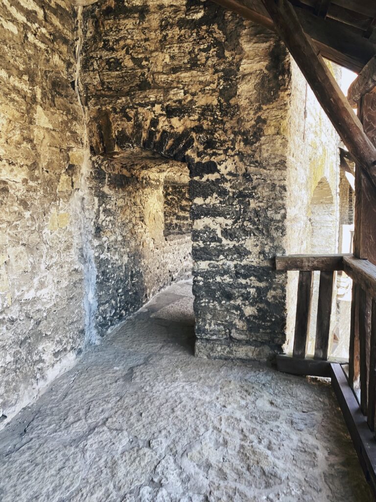Walls of Tallinn