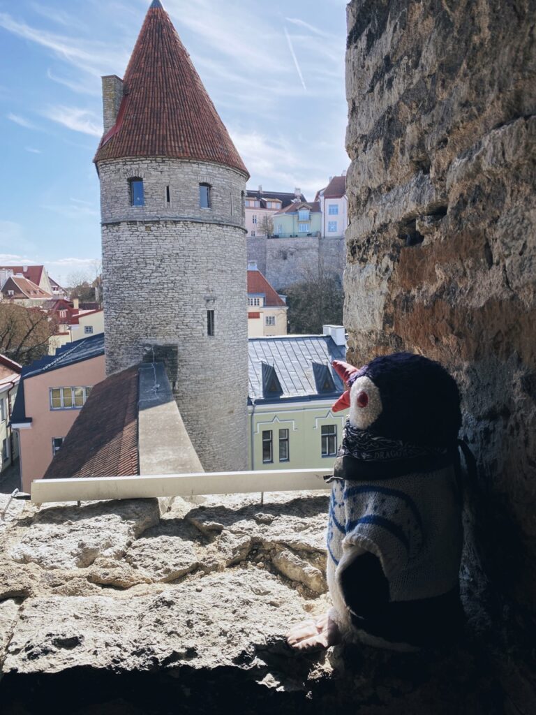 Walls of Tallinn