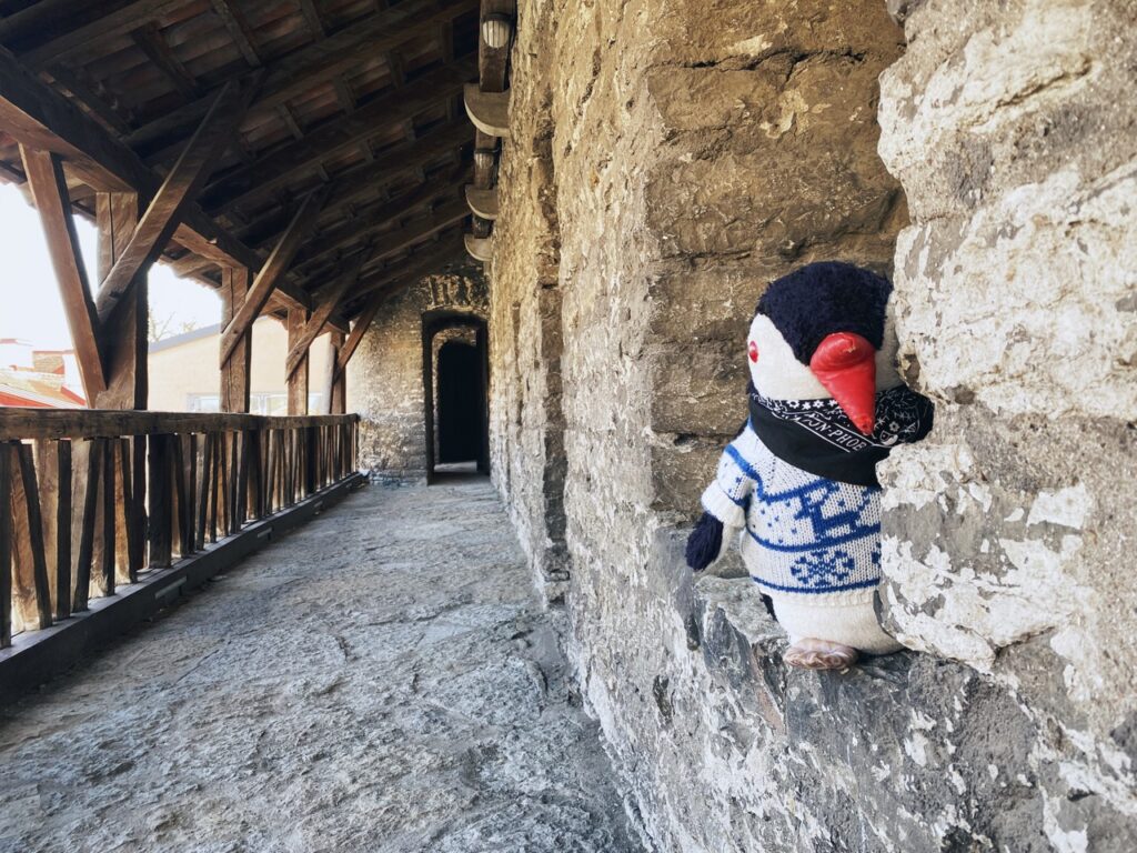Walls of Tallinn