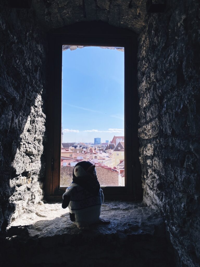 Walls of Tallinn