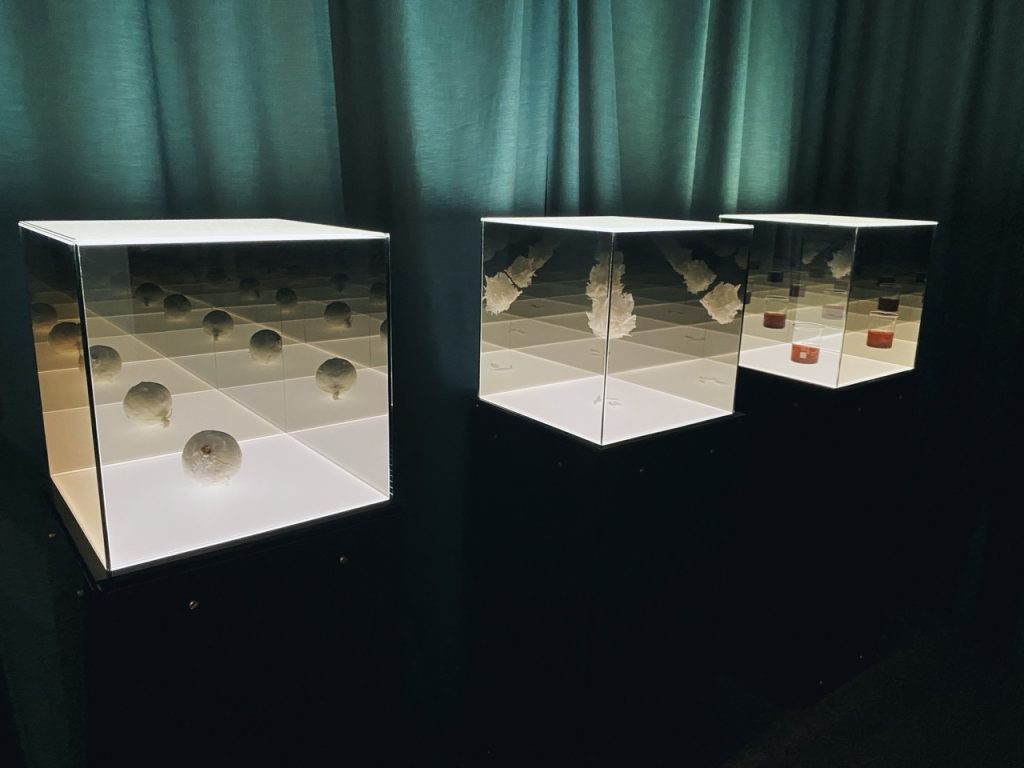 Nobel price Museum Stockholm