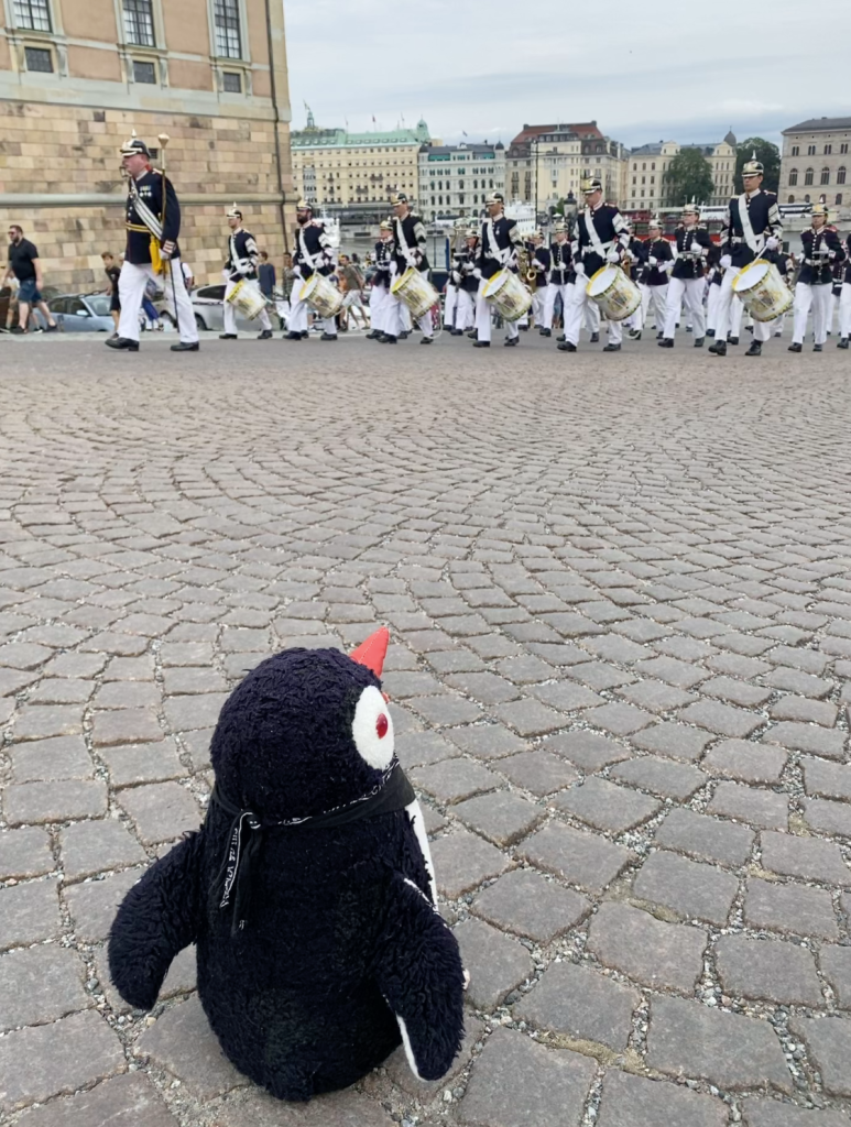 Royal Guards Sweden