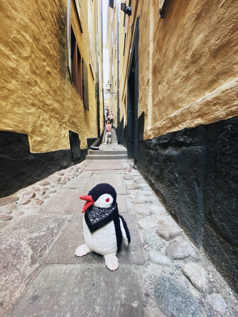 A plush penguin sits on a narrow cobblestone alleyway in Sweden