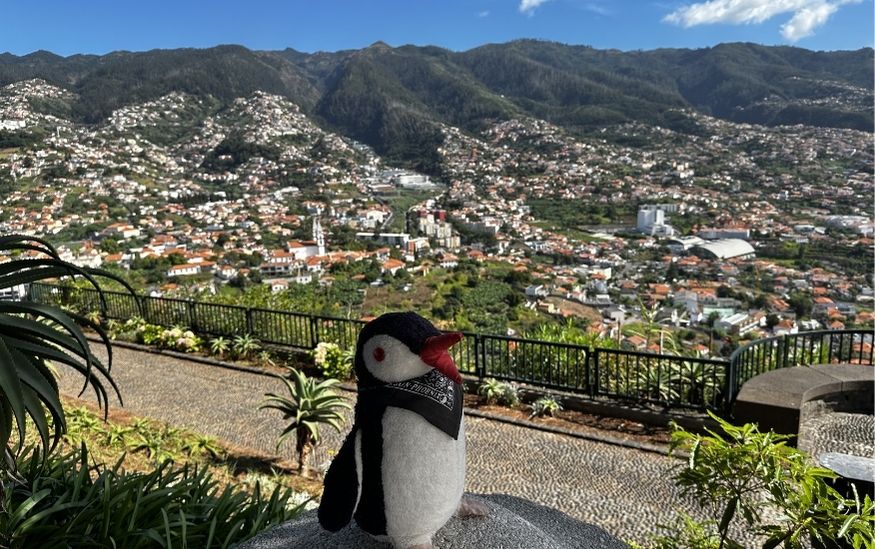 Funchal Facts madeira featured