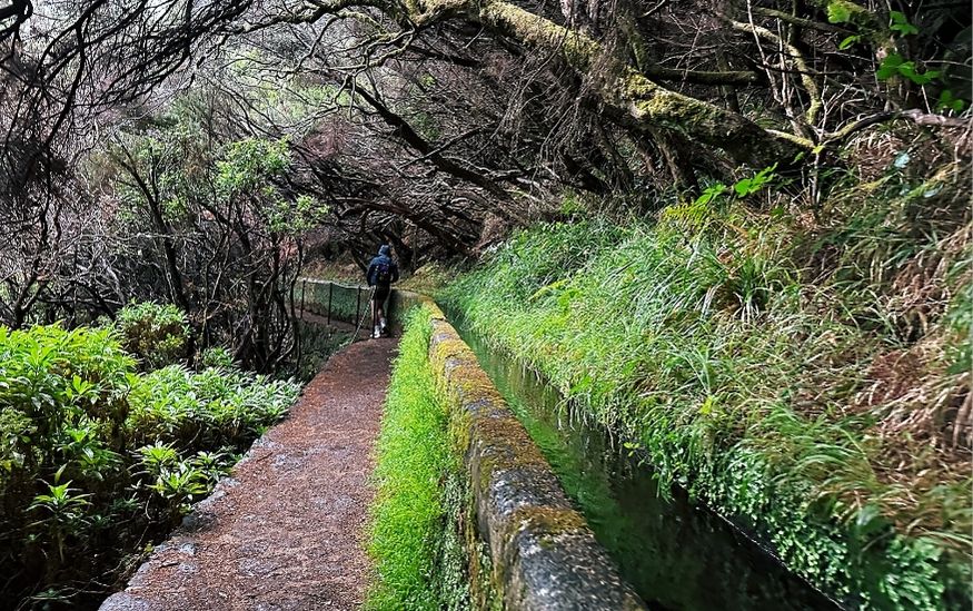 Levadas madeira hike featured