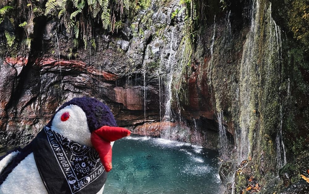 Madeira waterfall featured
