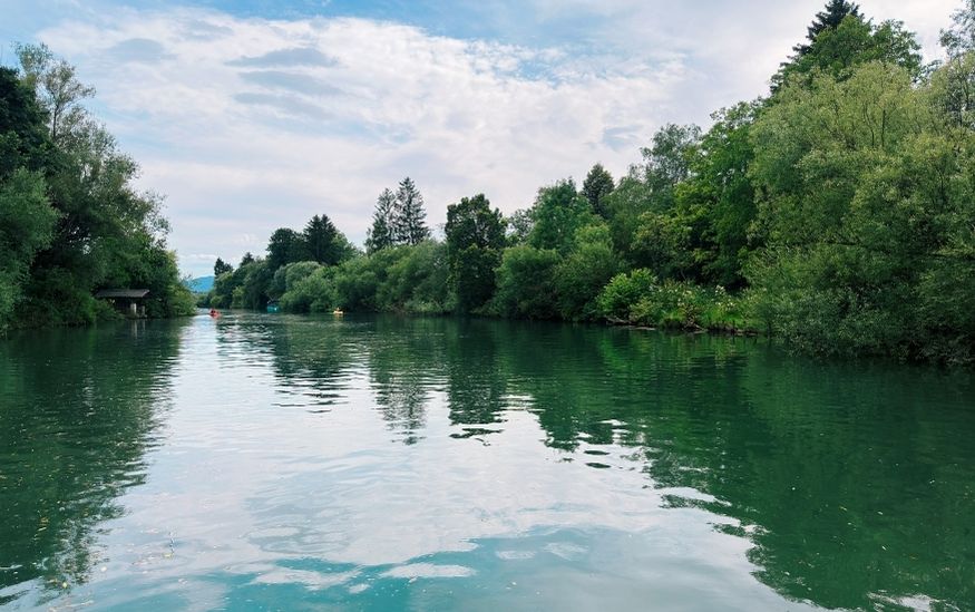 The Ljubljana Marshes slovenia features