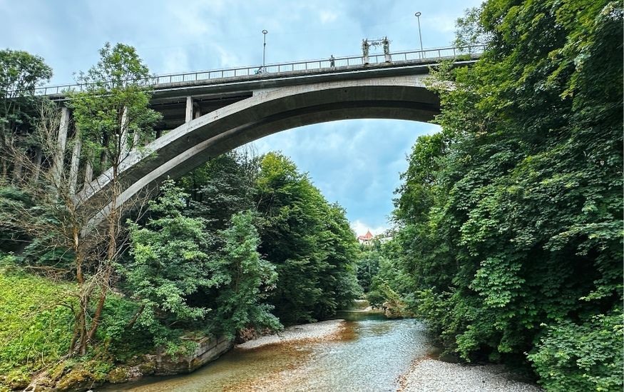 Lifeguin Kranj slovenia featured
