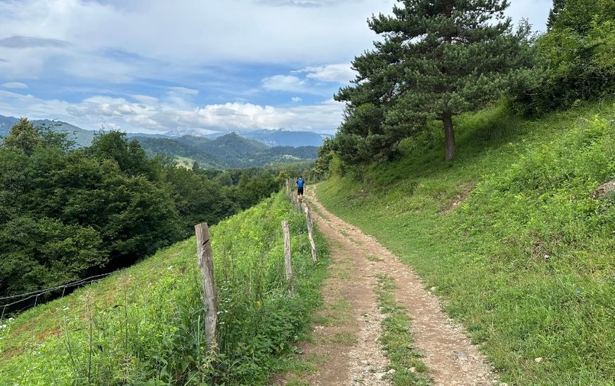 Slovenia Driving Guide featured