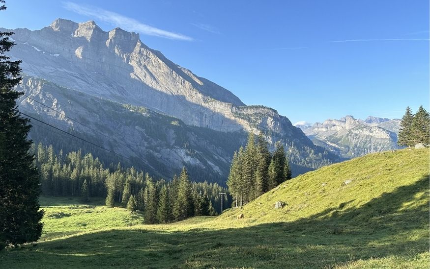Foods to try Switzerland featured