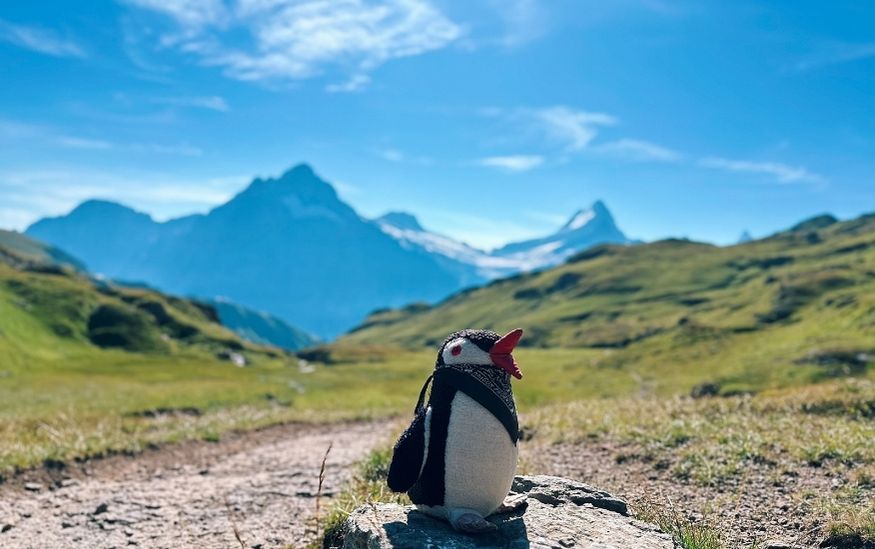 Lifeguin five days in switzerland featured