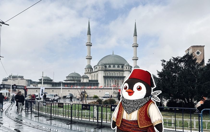 Lifeguin Istanbul first time featured