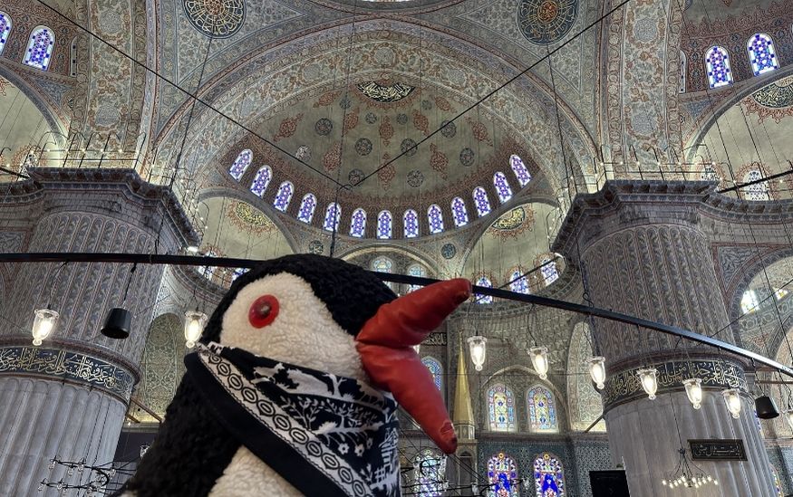 Blue Mosque istanbul lifeguin featured