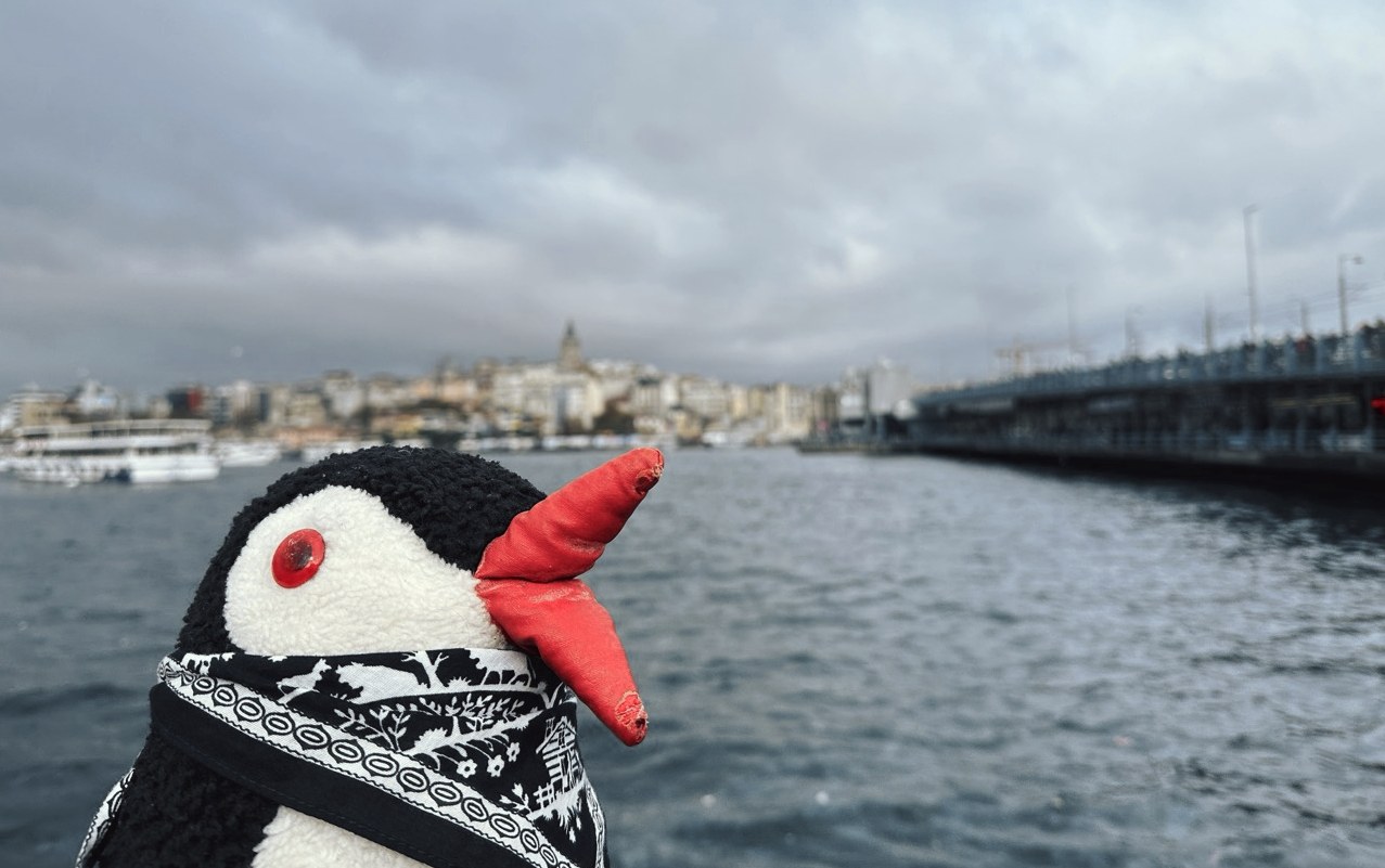 Miško the toy penguin by the water in Istanbul, with the Galata Bridge and Galata Tower behind