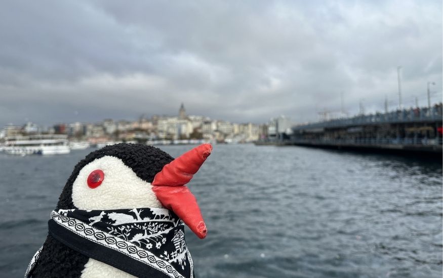 Istanbul day Itinerary lifeguin featured