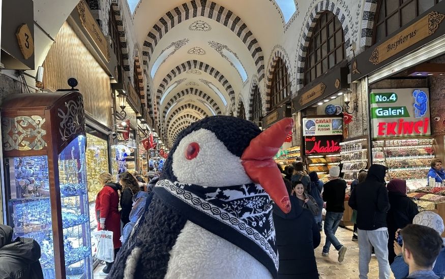 Markets of Istanbul lifeguin featured